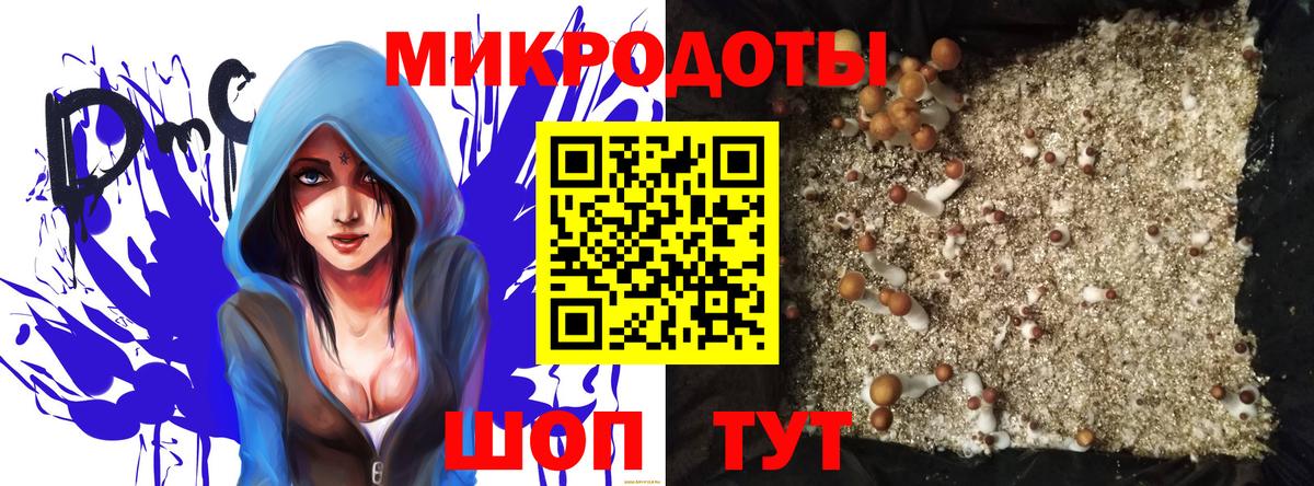 Златоуст  Псилоцибиновые грибы MAGIC MUSHROOMS  Галлюциногенные грибы Psilocybe  Вход с VPN 