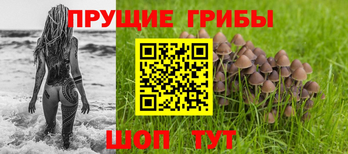 Псилоцибиновые грибы GOLDEN TEACHER Златоуст